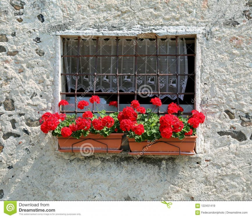 vaso-dei-gerani-rossi-sul-balcone-di-una-casa-pietra-122451419.jpg